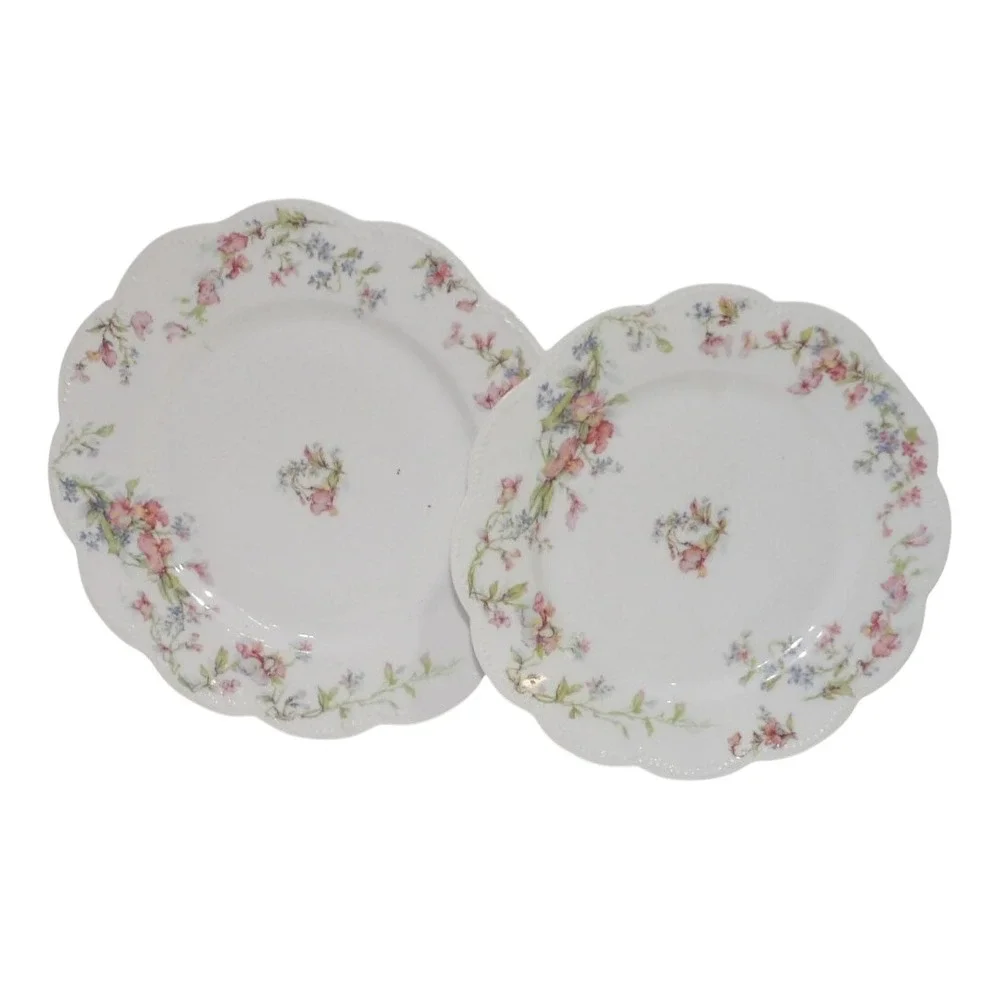 Haviland Limoges France Floral Scalloped Dinner Plates Set of 2 White Pink Blue